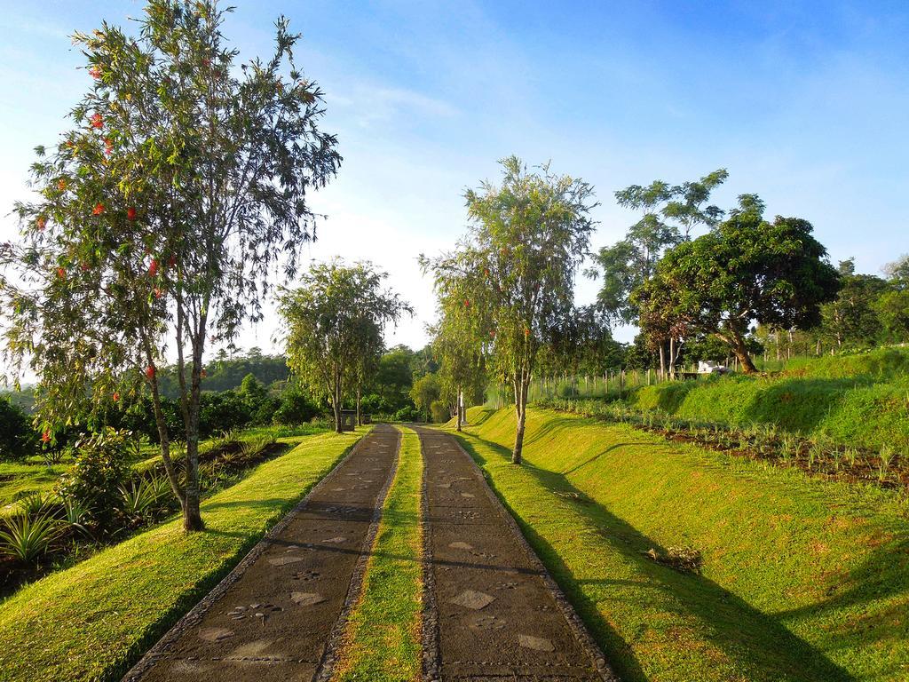 Bagus Agro Pelaga Hotel Plaga Exterior photo