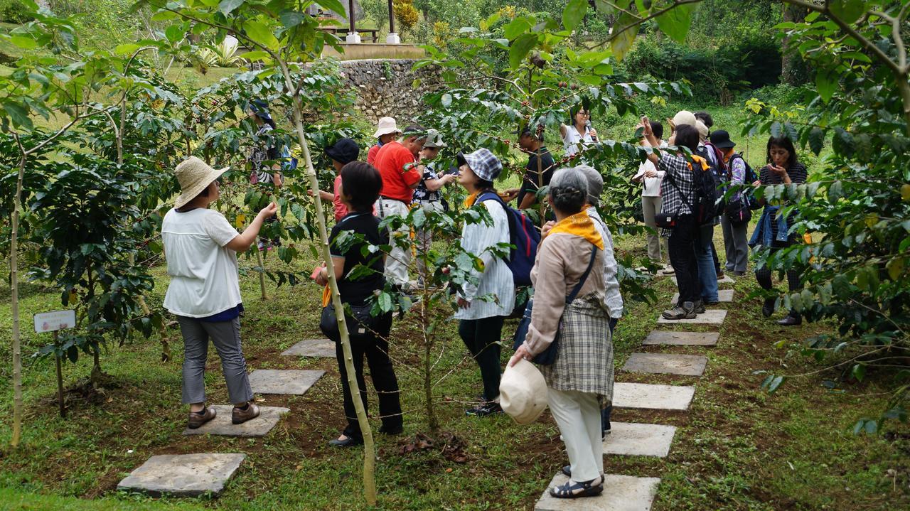 Bagus Agro Pelaga Hotel Plaga Exterior photo