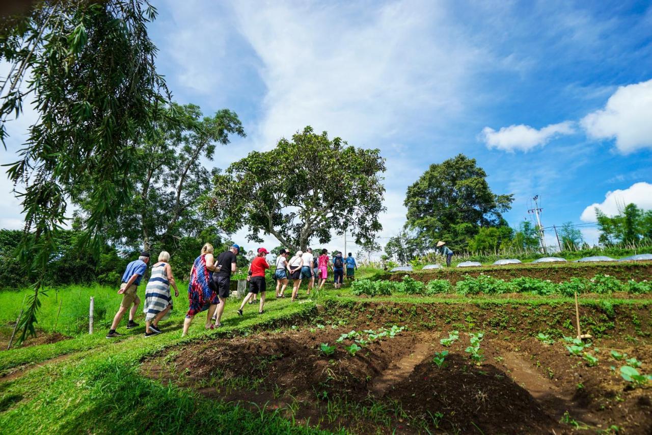 Bagus Agro Pelaga Hotel Plaga Exterior photo